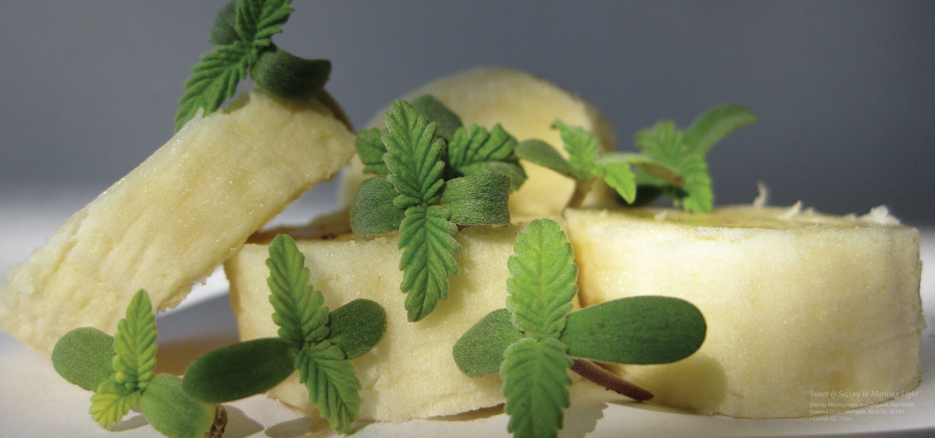 Animated background of cannabis leaves